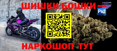 apvp Партизанск