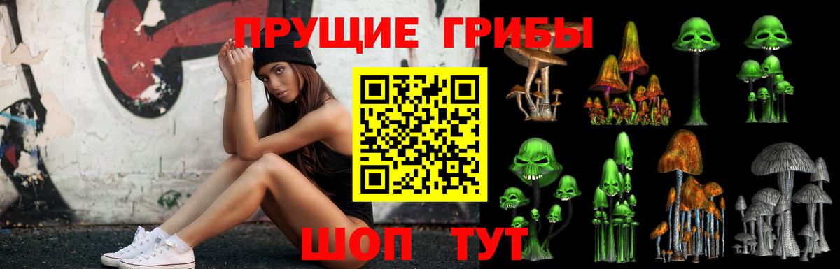 Ростов Великий  Галлюциногенные грибы Psilocybe  Псилоцибиновые грибы GOLDEN TEACHER  Вход с VPN 